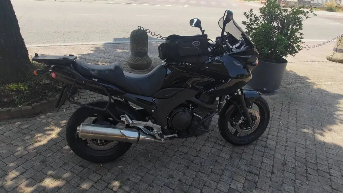 Yamaha TDM 900 (2002 - 14)  (4)