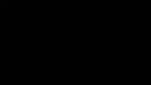Benelli TRK 702X (2023 - 25)  (10)