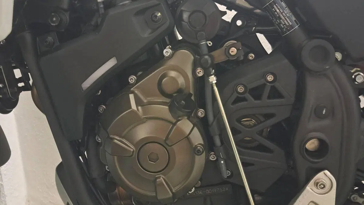 Yamaha Ténéré 700 (2019 - 20)  (3)