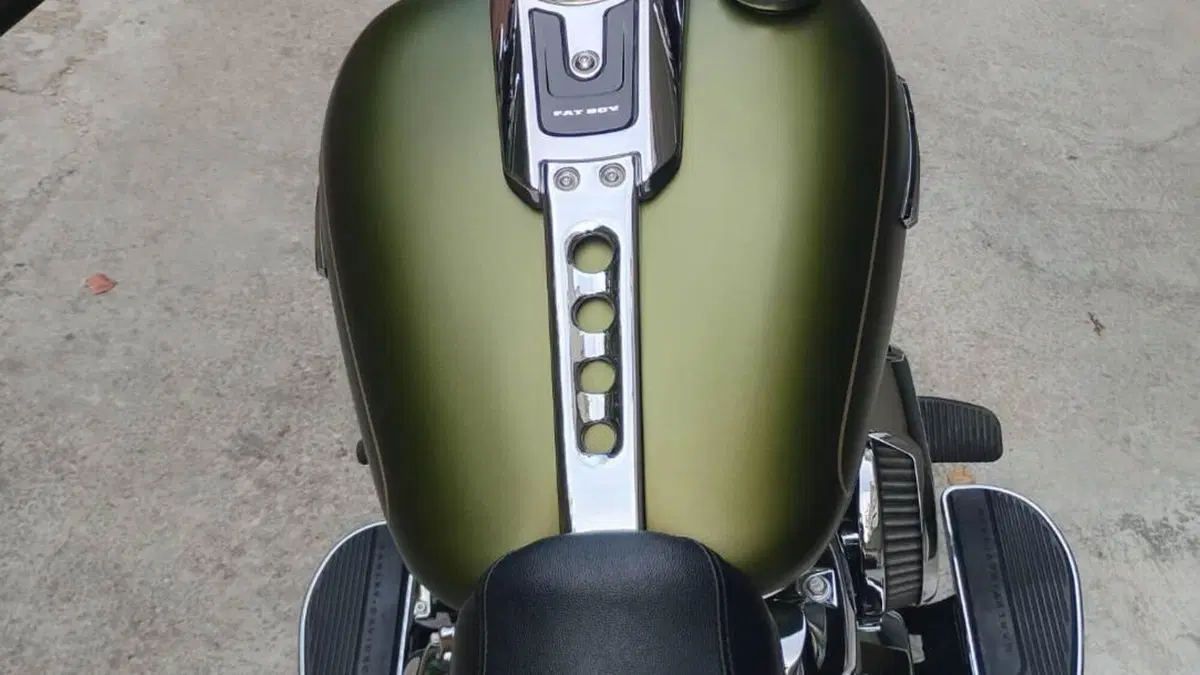 Harley-Davidson Fat Boy 114 (2021 - 24)  (4)