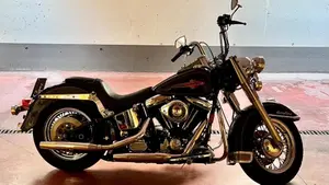 Harley-Davidson   (2)