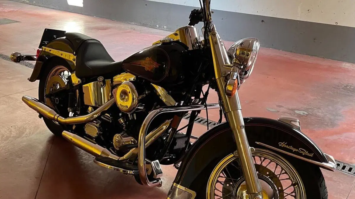 Harley-Davidson   (3)