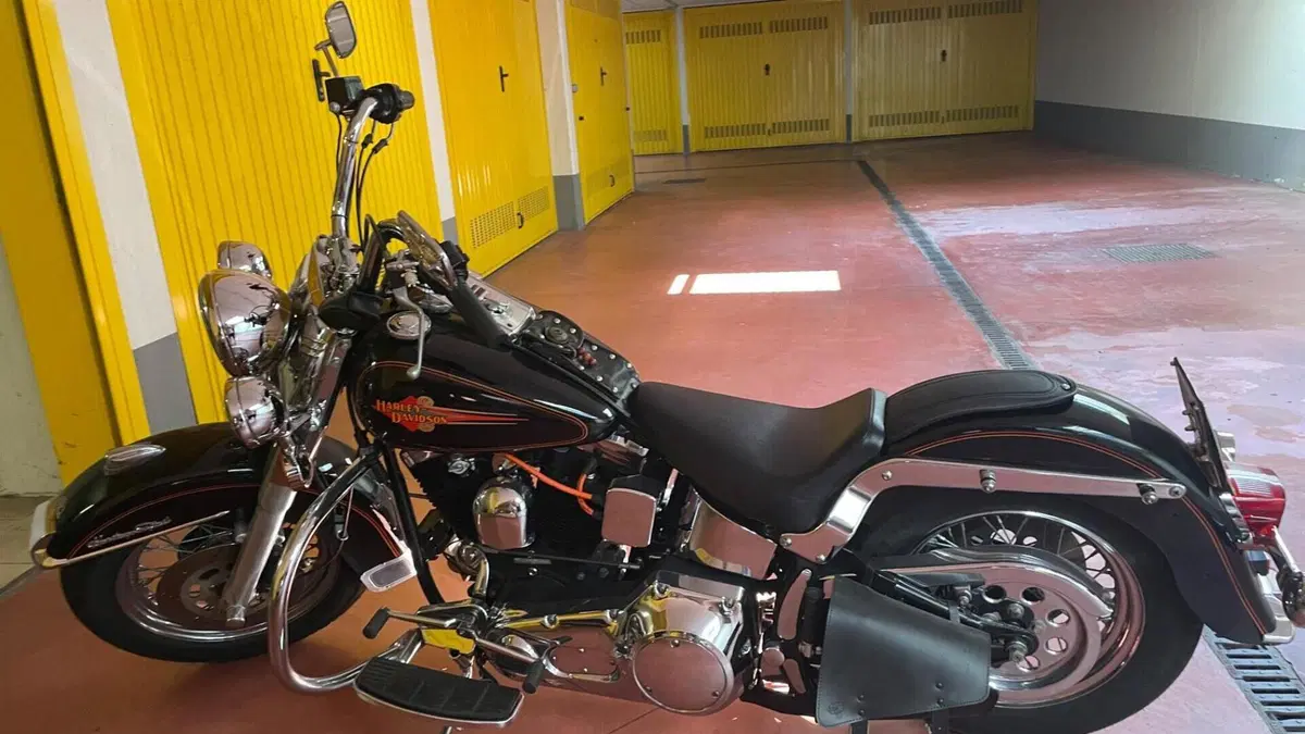 Harley-Davidson   (6)
