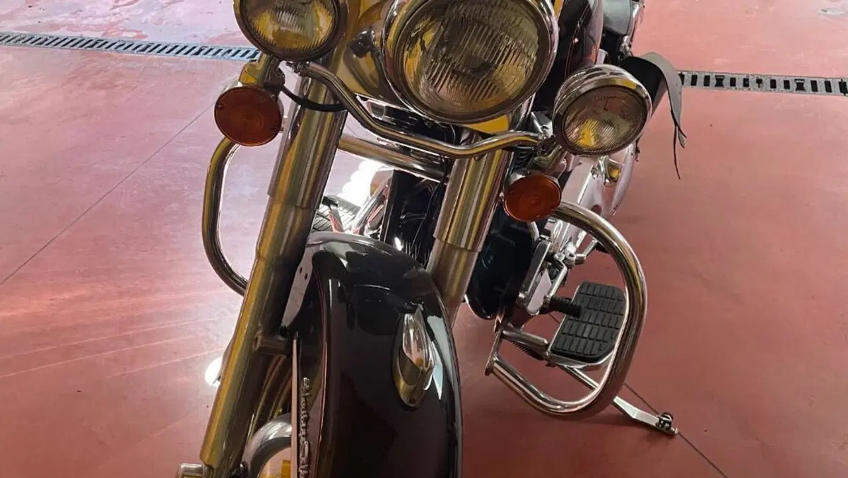 Harley-Davidson   (7)