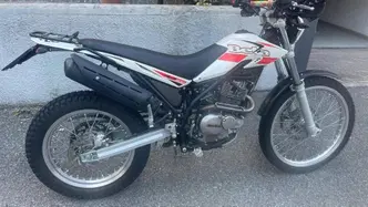 Betamotor Alp 200 (2009 - 17) usata
