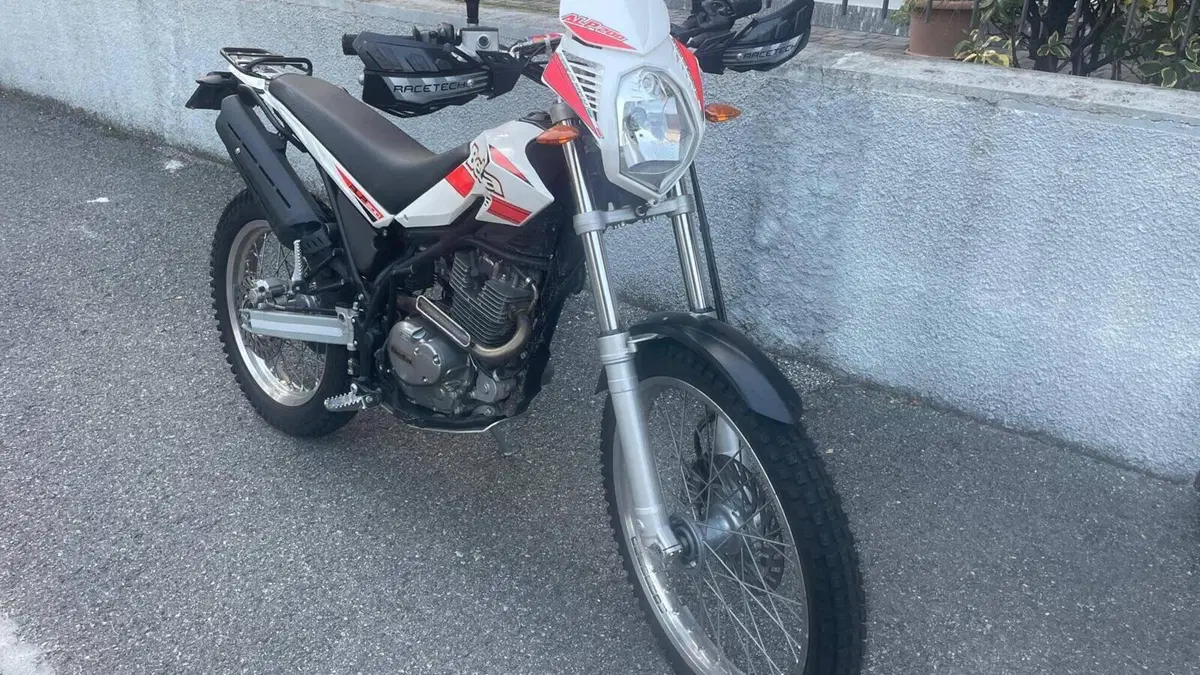 Betamotor Alp 200 (2009 - 17)  (4)