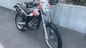Betamotor Alp 200 (2009 - 17)  (4)