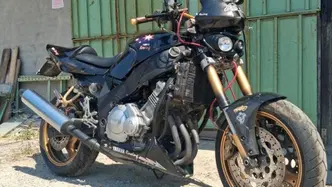 Yamaha FZR 600 (1991 - 93) usata