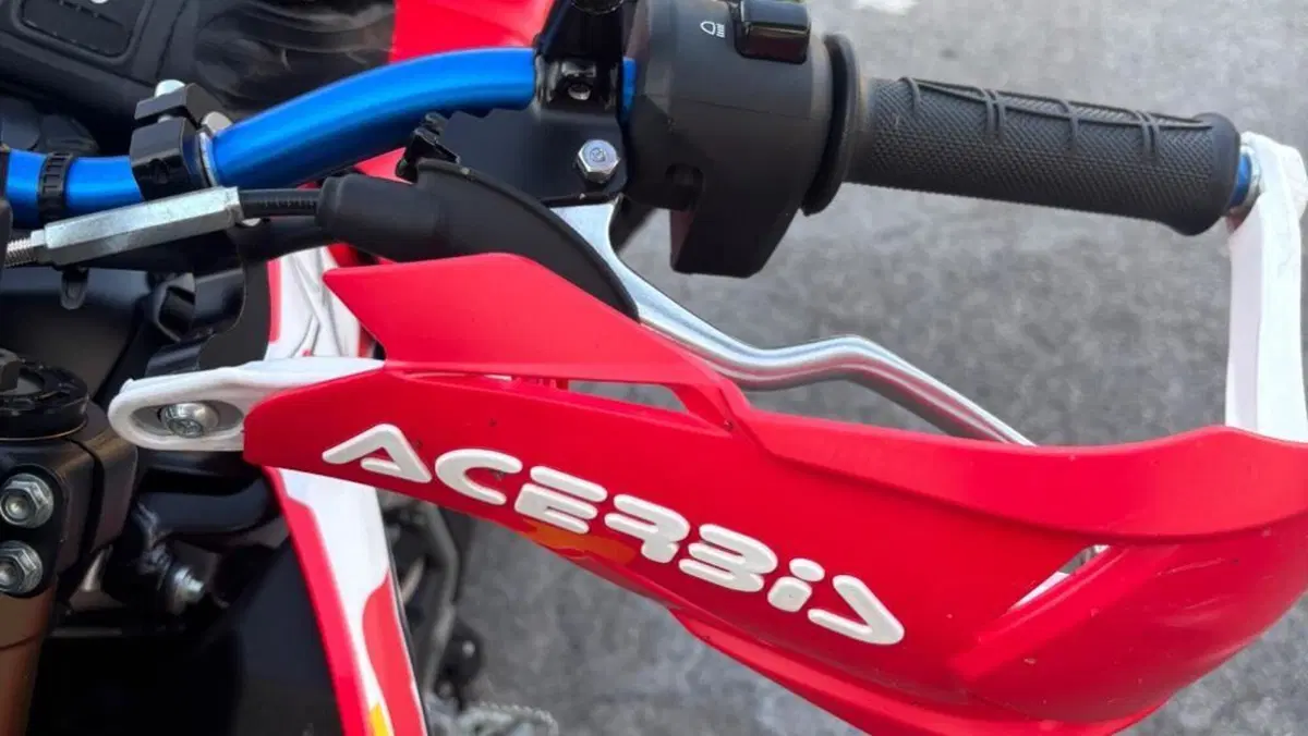 Honda CRF 300L (2021 - 24)  (6)