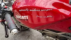 Ducati Monster 900 Special I.E. (1999 - 02)  (6)