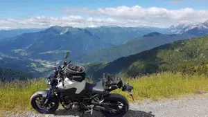 Yamaha MT-09 ABS (2016)  (5)