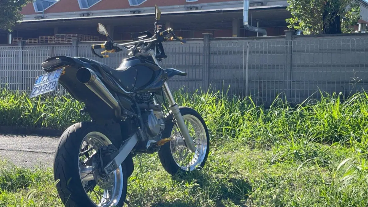 Betamotor Motard 4.0 M4 (2006 - 11)  (5)