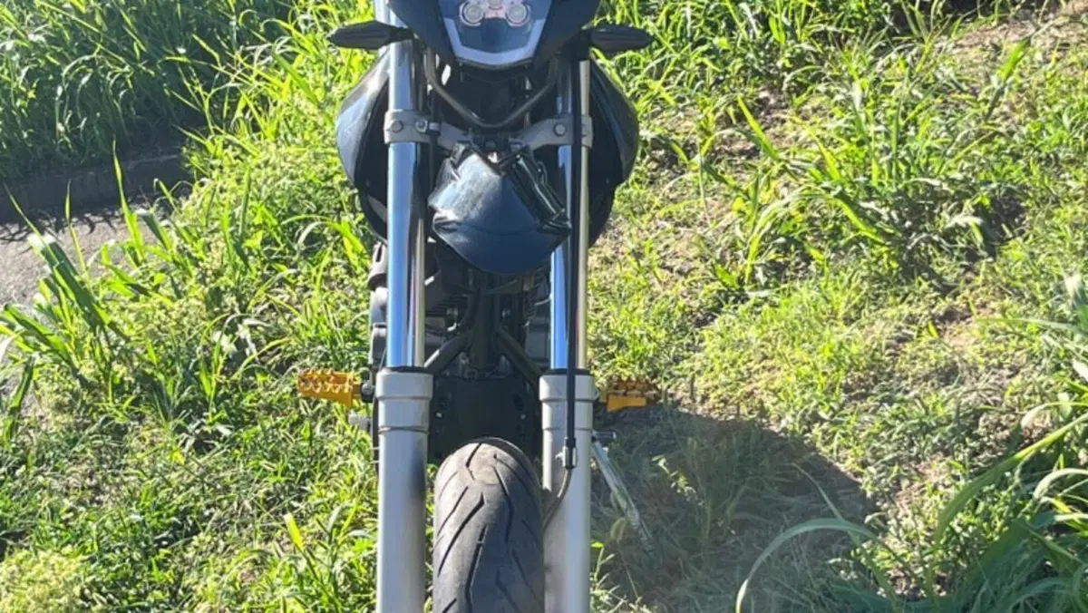 Betamotor Motard 4.0 M4 (2006 - 11)  (18)