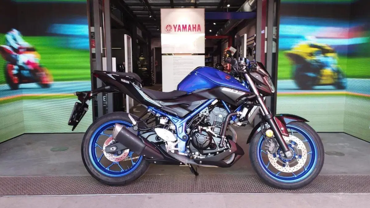 Yamaha MT-03 (2018 - 19) 