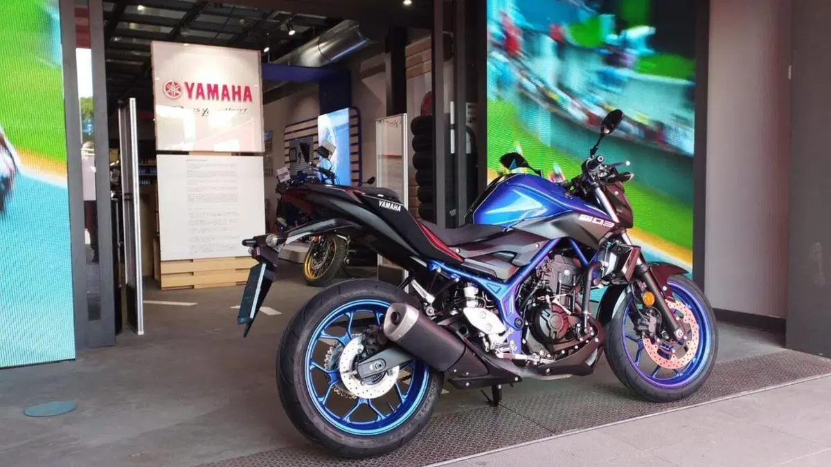 Yamaha MT-03 (2018 - 19)  (2)