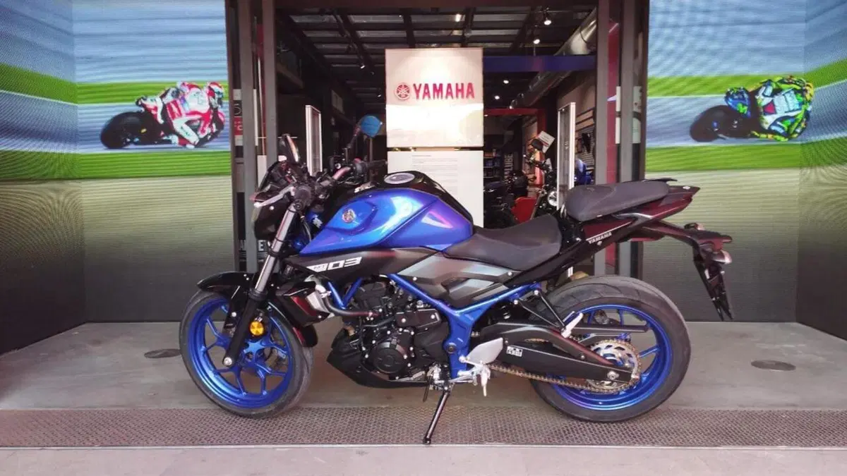 Yamaha MT-03 (2018 - 19)  (4)