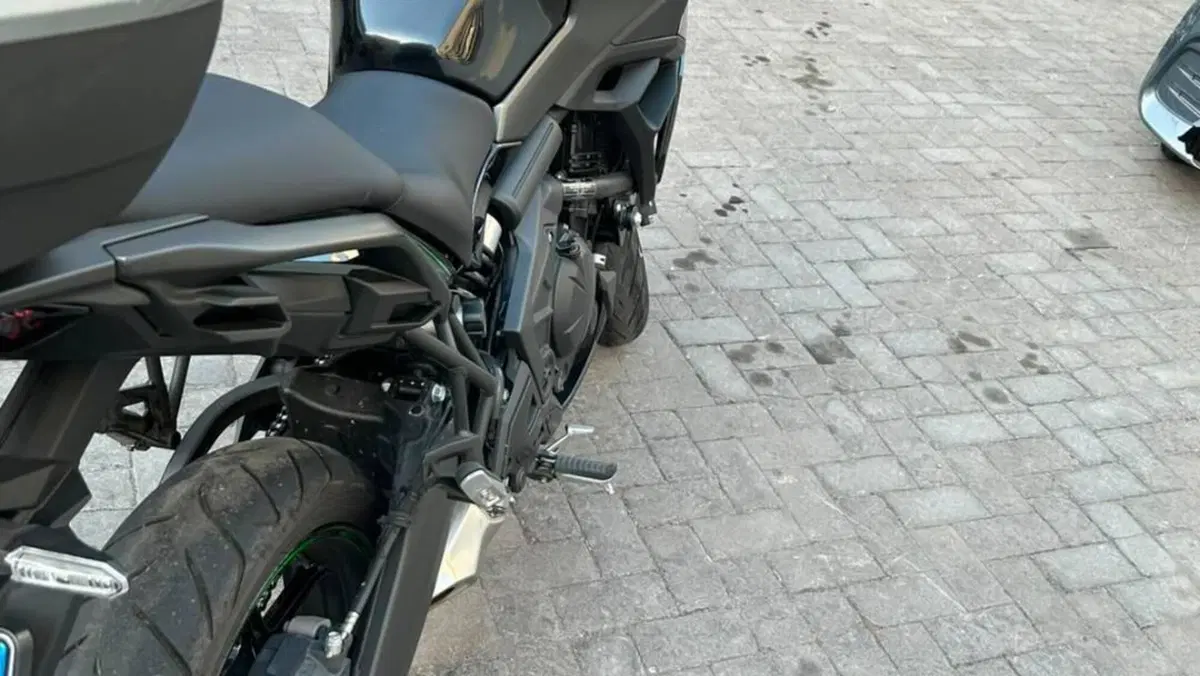 Kawasaki Versys 650 (2025 - 26)  (6)