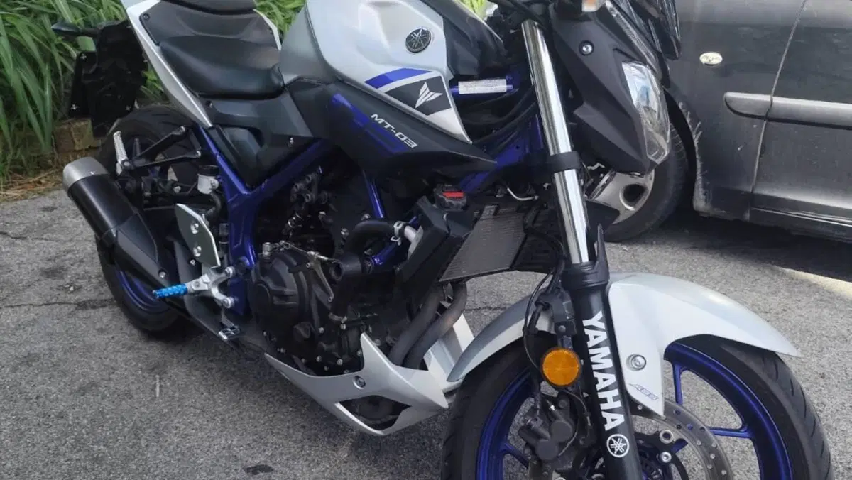 Yamaha MT-03 (2016 - 17)  (2)