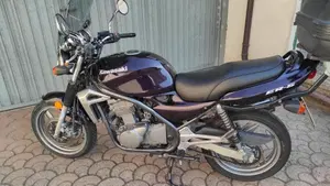 Kawasaki ER-5 500 (2001 - 06)  (3)