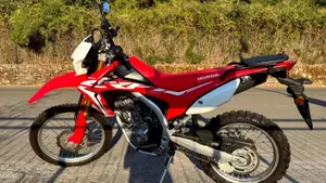 Honda CRF 250L (2017 - 20)  (13)