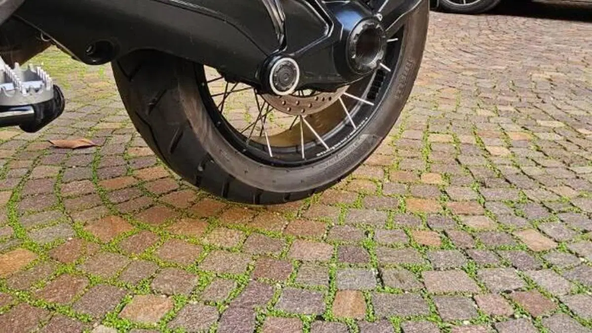 Bmw R 1250 GS (2021 - 24)  (8)