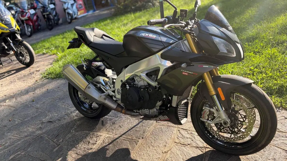 Aprilia Tuono V4 RR (2019 - 20)  (4)