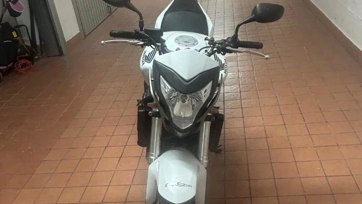 Honda Hornet 600 (2011 - 13)  (3)