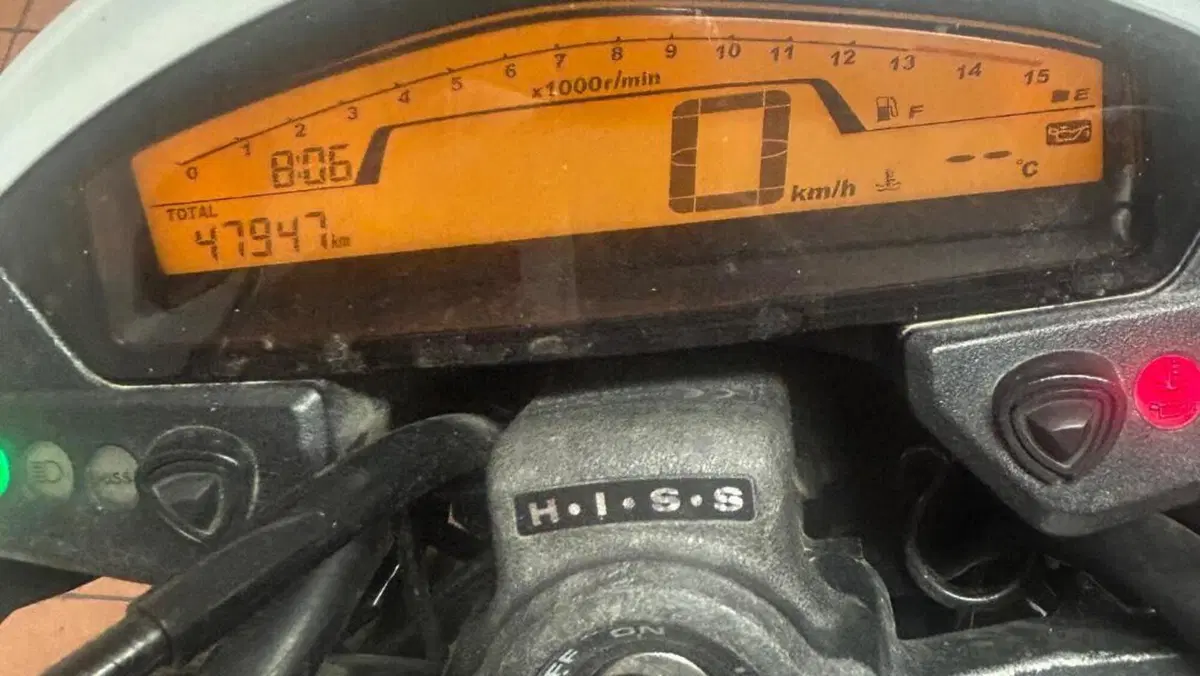 Honda Hornet 600 (2011 - 13)  (4)