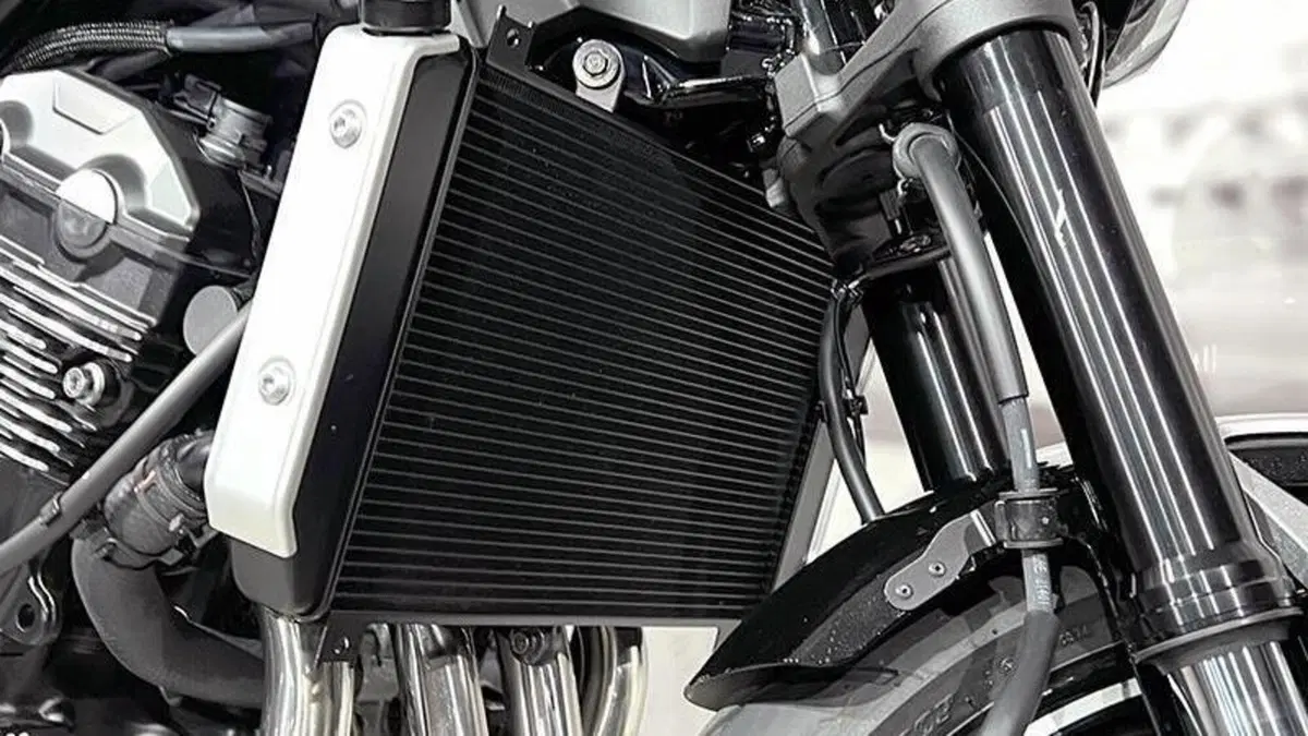 Kawasaki Z 900 RS (2022 - 25)  (4)