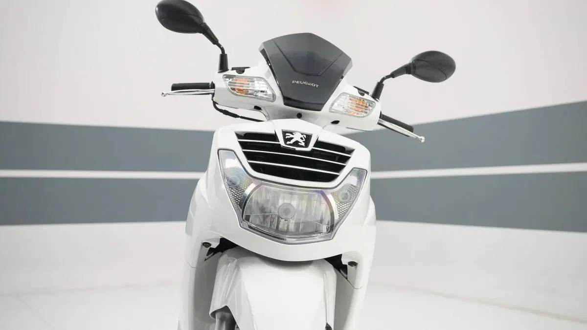 Peugeot LXR 125 (2009 - 15)  (5)