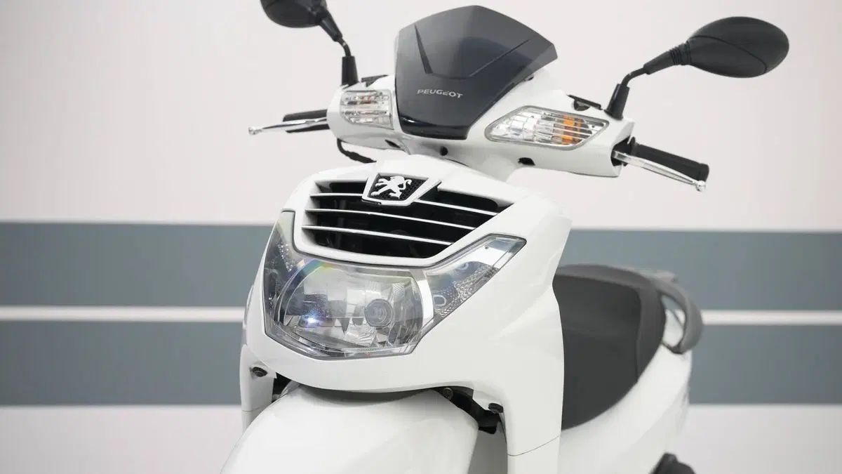 Peugeot LXR 125 (2009 - 15)  (6)