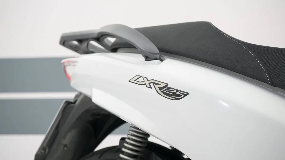 Peugeot LXR 125 (2009 - 15)  (8)