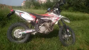 Betamotor RR 450 4T Enduro (2008) 