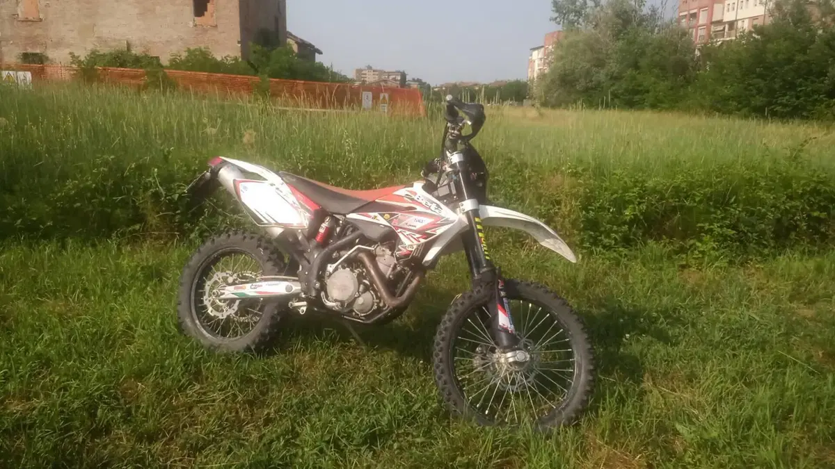 Betamotor RR 450 4T Enduro (2008)  (2)