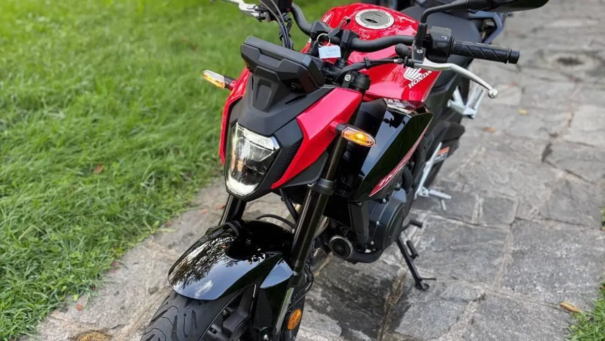 Honda CB 500 Hornet (2024 - 25)  (3)