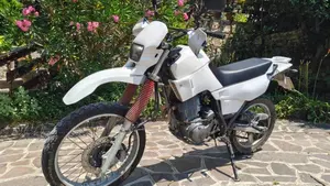 Yamaha XT 600 E (1990 - 04)  (3)