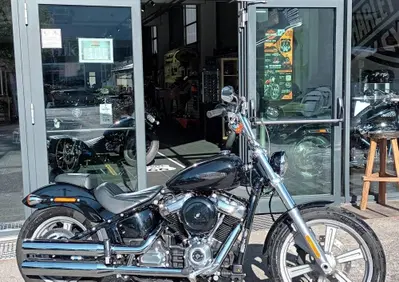 Harley-Davidson Softail Standard (2021 - 25) - Annuncio 10107089