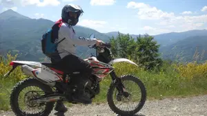 Betamotor RR 450 4T Enduro (2008)  (4)