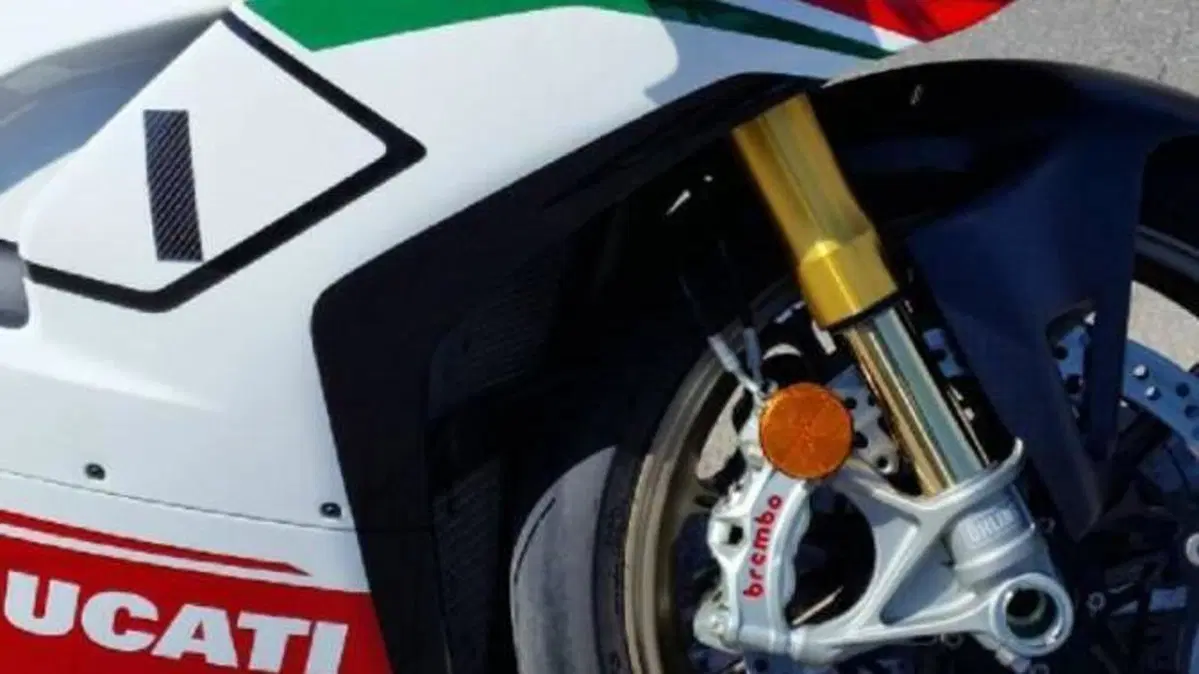 Ducati Panigale V4 Speciale 1100 (2018 - 19)  (5)