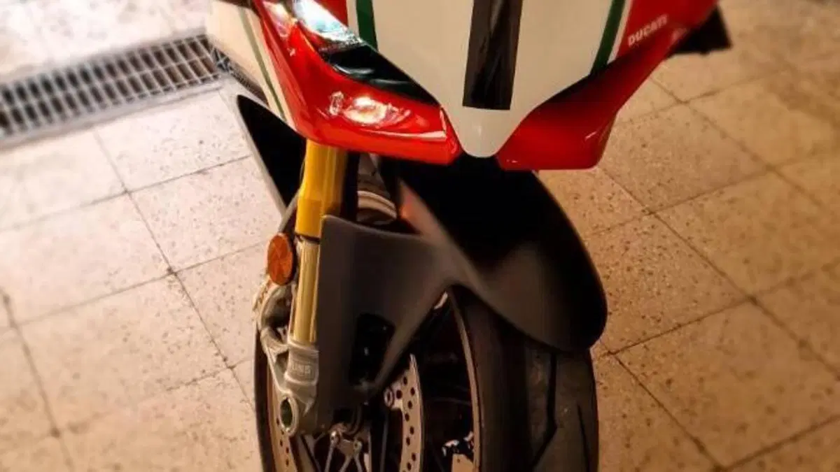 Ducati Panigale V4 Speciale 1100 (2018 - 19)  (10)