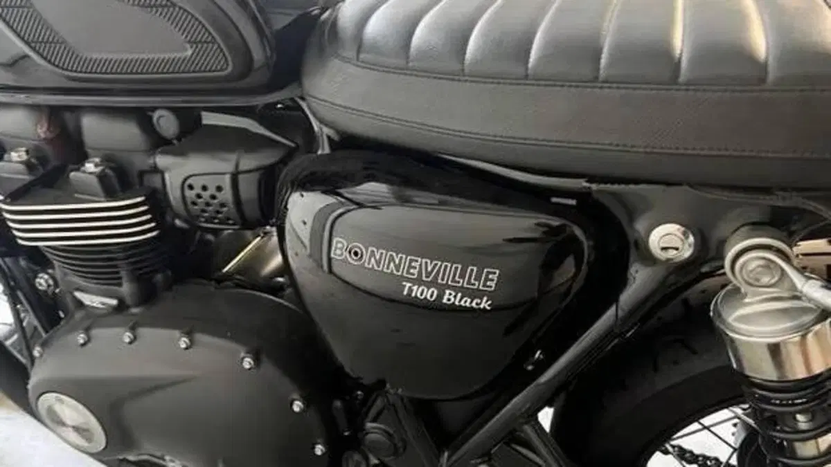 Triumph Bonneville T100 Black (2017 - 20)  (5)
