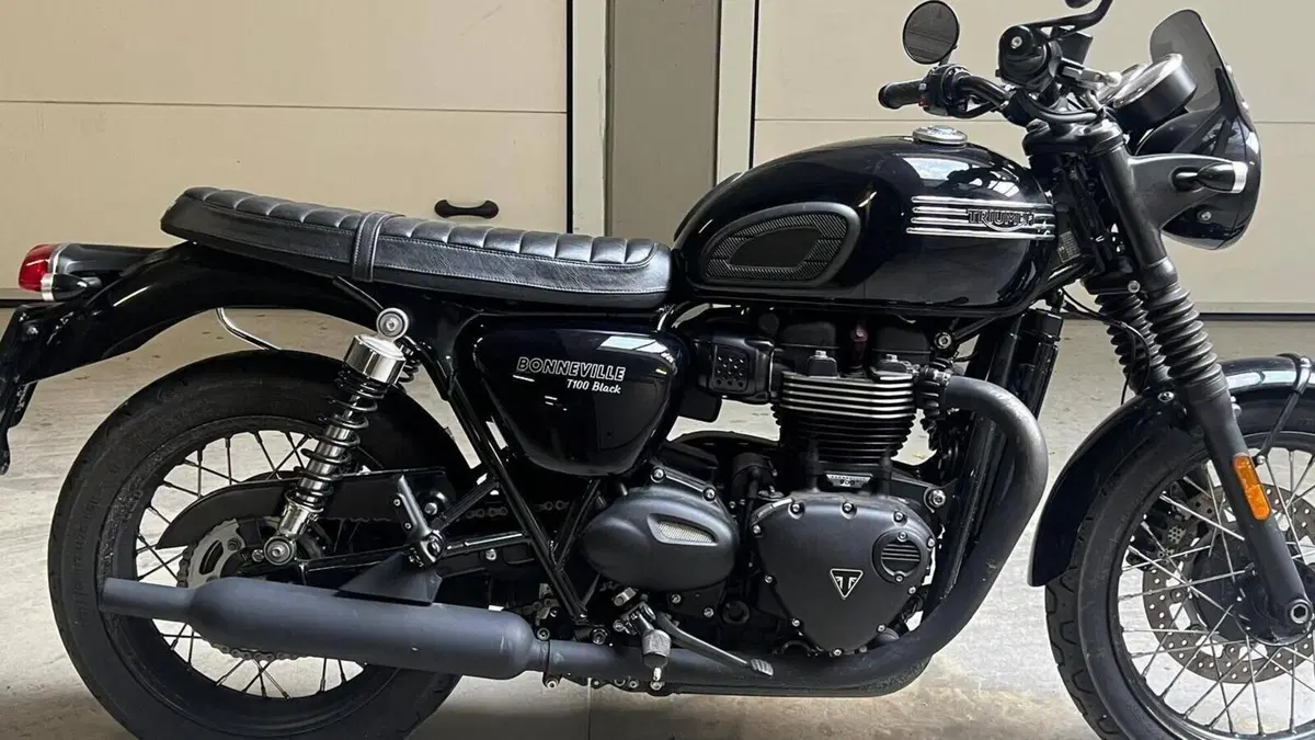 Triumph Bonneville T100 Black (2017 - 20)  (9)