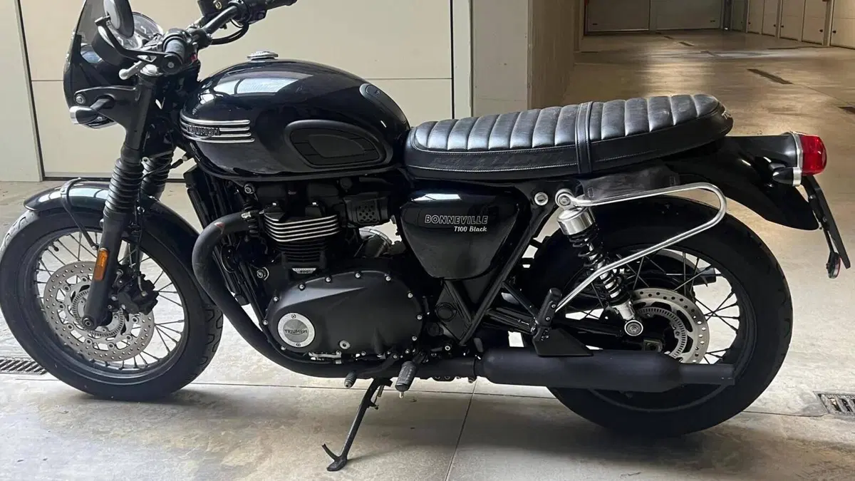 Triumph Bonneville T100 Black (2017 - 20)  (13)