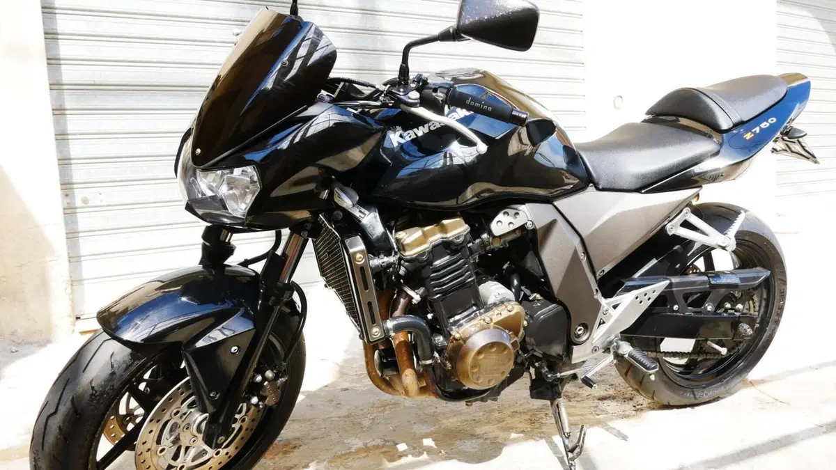 Kawasaki Z 750 (2003 - 06)  (4)