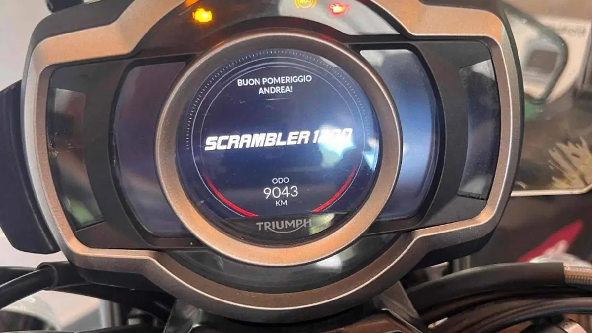 Triumph Scrambler 1200 XC Gold Line Edition (2021 - 23)  (7)