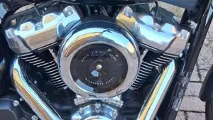 Harley-Davidson Street Bob 117 (2025 - 26)  (2)