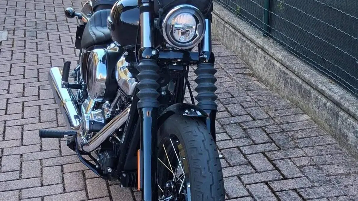 Harley-Davidson Street Bob 117 (2025 - 26)  (4)