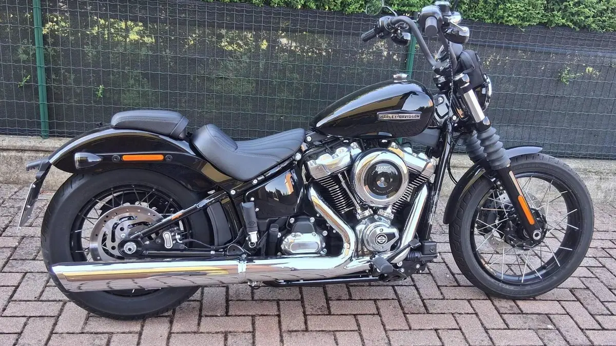 Harley-Davidson Street Bob 117 (2025 - 26)  (5)