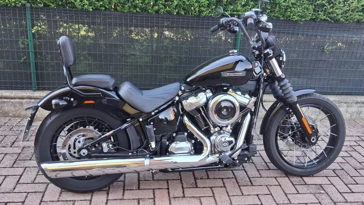 Harley-Davidson Street Bob 117 (2025 - 26)  (6)