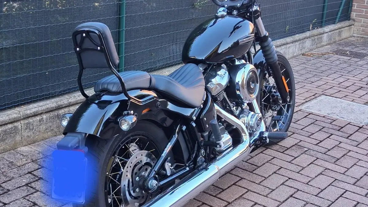 Harley-Davidson Street Bob 117 (2025 - 26)  (7)